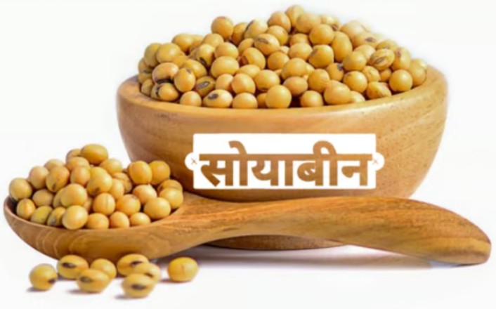 सोयाबीन दाना 250ग्राम(Soyabean Dana 250Gm)R145005
