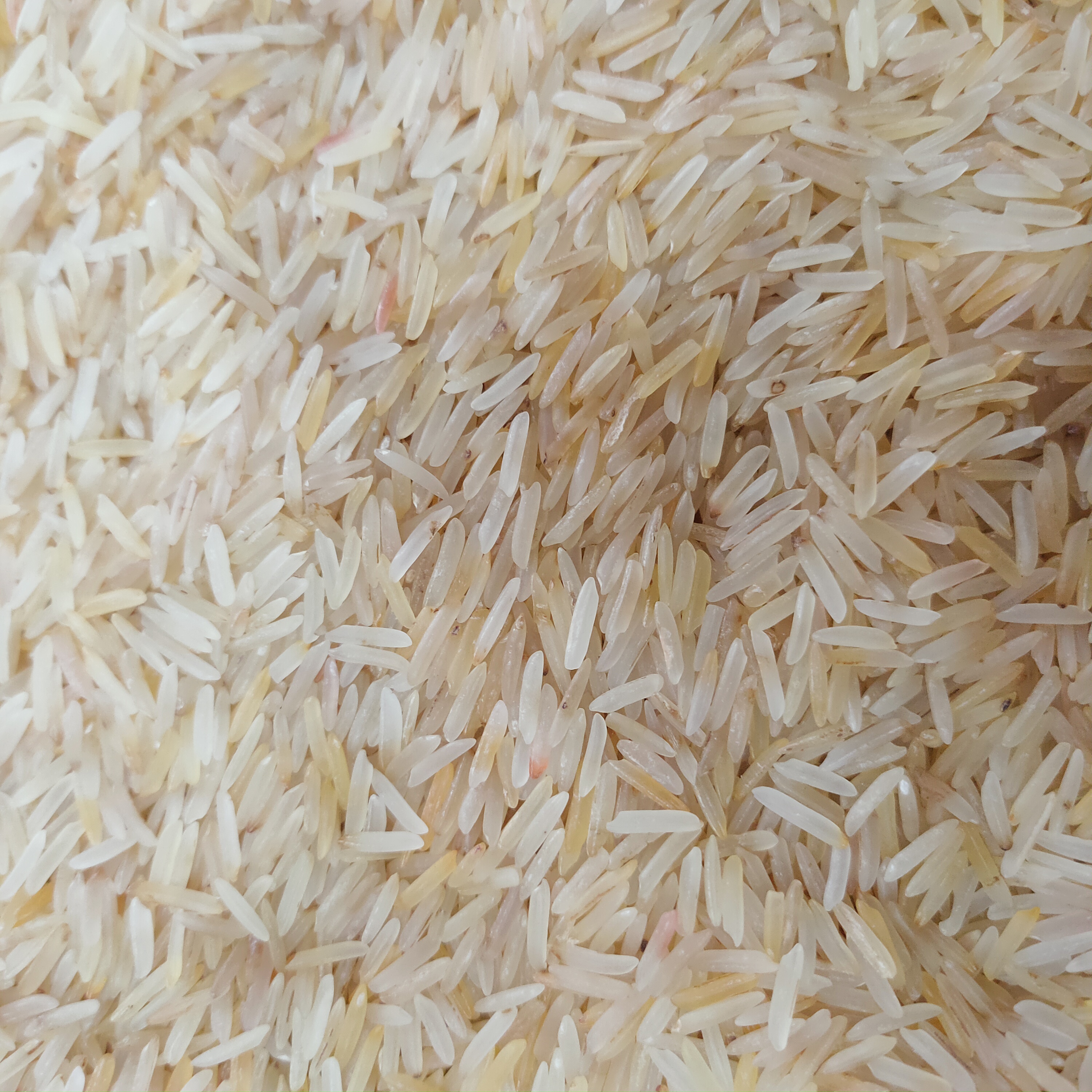 लाल रतन बासमती चावल 10 kg( Ratan Basmati  Chawal - Basmati Rice 10Kg) R 145050