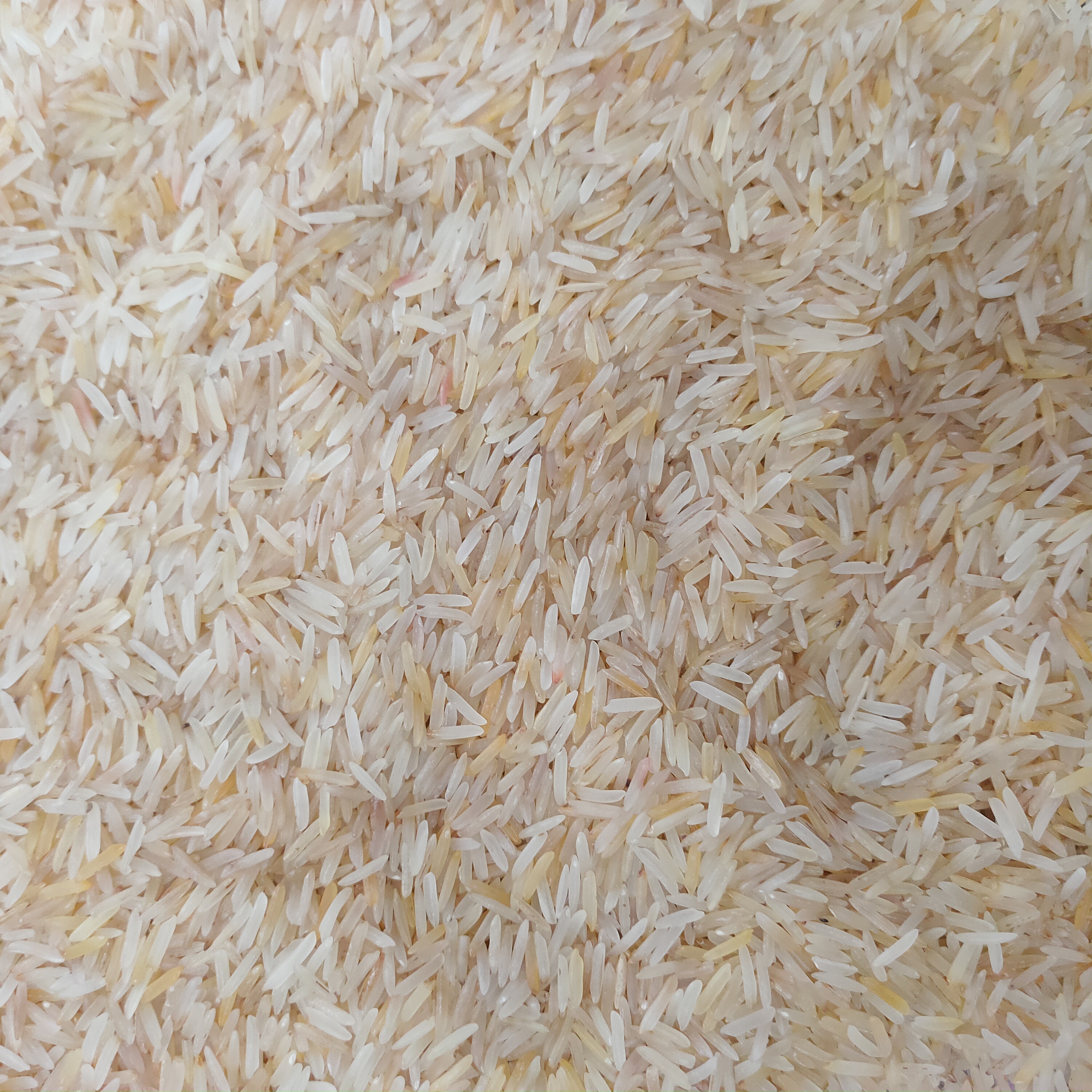 लाल रतन बासमती चावल 10 kg( Ratan Basmati  Chawal - Basmati Rice 10Kg) R 145050
