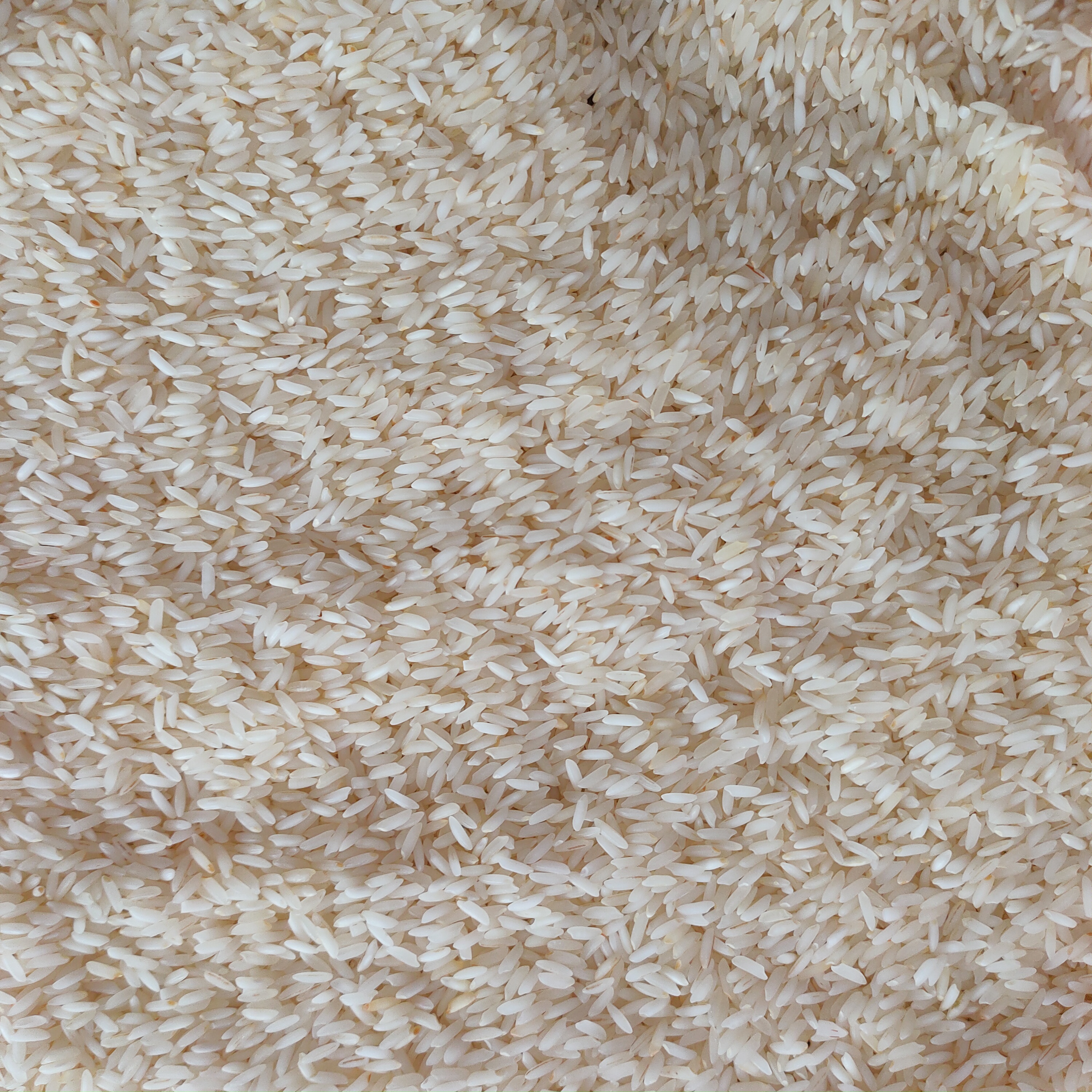 डेली यूज सोनांचल चावल 10किग्रा (Daily Use Rice 10kg)R145040