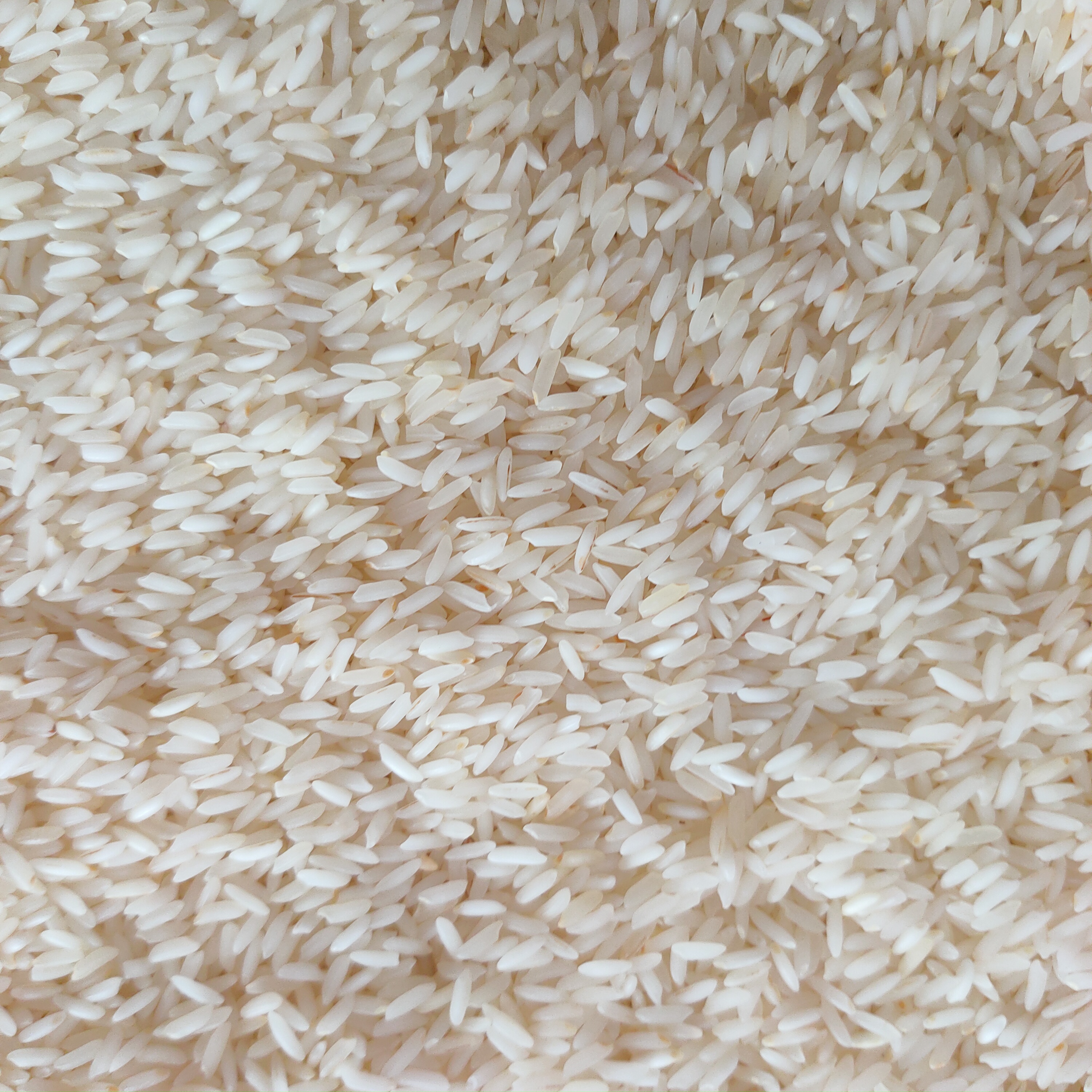 डेली यूज सोनांचल चावल 1किग्रा (Daily Use Rice 1kg)R145007