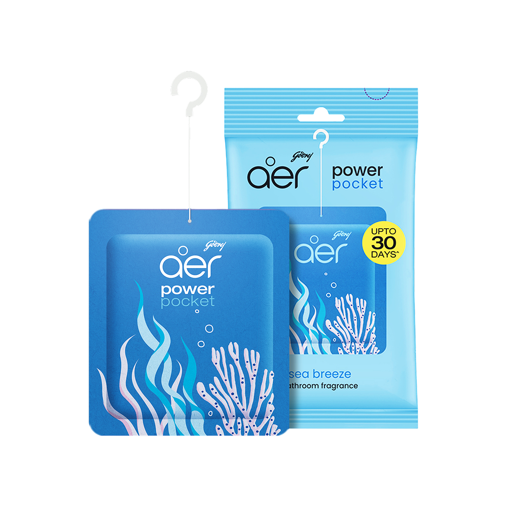 गोदरेज एयर पॉकेट सी ब्रिज 01 पैकेट ( Godrej Aer Pocket See Breeze 1Pc)D145005